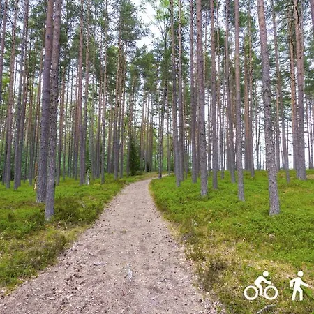 アパート Vorkneeme *