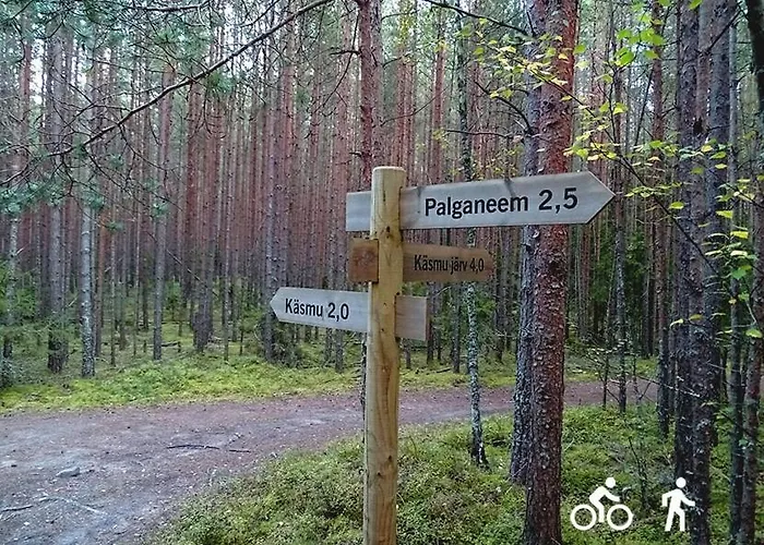 Vorkneeme Korter Kasmu